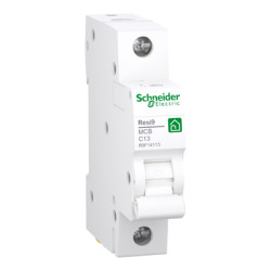 Kismegszakító 1P 13A 'C' Schneider Resi9 R9F14113